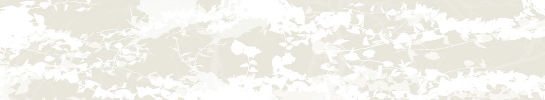 GLA 035